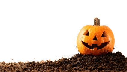 A carved halloween pumpkin sitting on a pile of dark soil against a plain white background studio shot