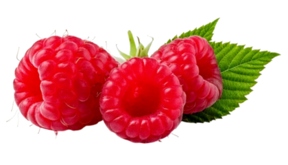 Ripe raspberry duo with leaf variations, isolated on transparent background.