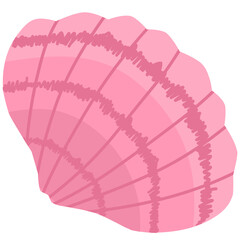Pink seashell illustration with textured details