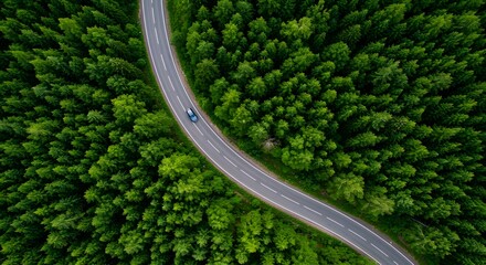 close up view of green road