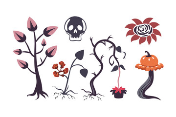 Halloween plant set with skull and pumpkin
