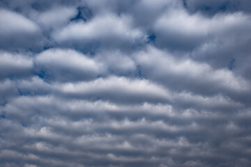 Obraz premium dramatic sky and gray clouds before the storm. Stratocumulus.
