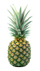 Fototapeta premium PNG Pineapple green fruit plant.