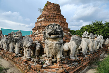 Lion statue in front of the ruins of an ancient chedi at Wat Thammikarat in Ayutthaya, a historical site in Ayutthaya.