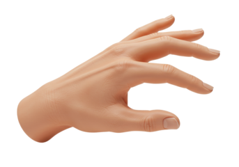 Realistic hand holding gesture isolated PNG on transparent background, human body part for design
