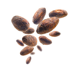 Cocoa beans levitate on a white background
