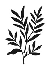 Botanical Foliage Illustration