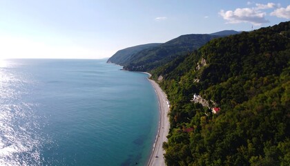 Aerial view of a forested coastline and sea