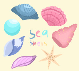 Colorful Seashells and Starfish Illustration