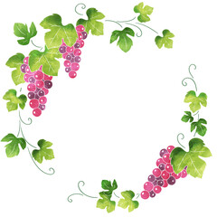 赤葡萄のおしゃれな丸フレーム