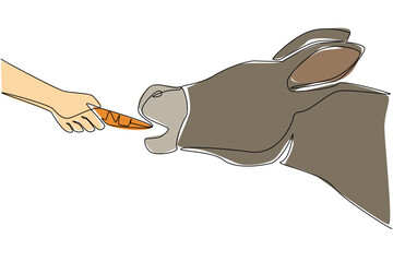Continuous one line drawing hand holding carrot is feeding the donkey. Eat with gusto. Extra food for hard work. Very easy to be friendly. World Donkey Day. Single line draw design vector illustration