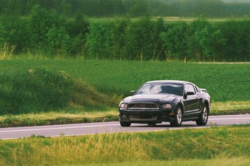 Fototapeta premium Automotive classic driving in sunlight