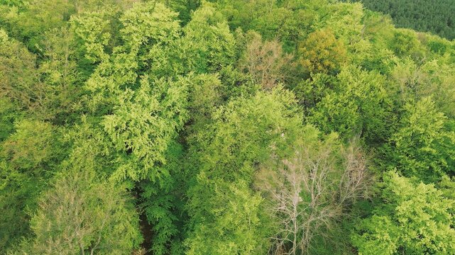 Aerial photo of rocky forest cliff - Powered by Adobe