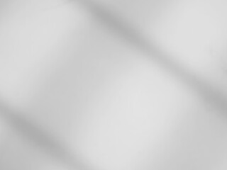 Background shadow white light wall floor backdrop overlay leaf mockup summer sunight overlay nature on room cement abstract blur muckup effect grey minimal platform for presentation product