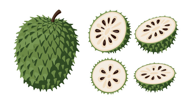 The soursop fruit and its refreshing juicy pulp with black seeds.