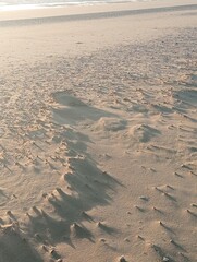 Broken shells on the beach