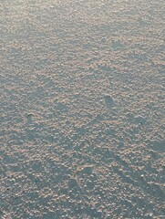 Tiny broken sea shell pieces in the sand 