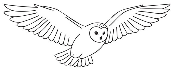 Fototapeta premium Black outline of a barn owl in flight with wings fully extended, showcasing detailed feather patterns and a characteristic heart-shaped face.