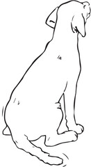 DOG SITTING BACK VIEW