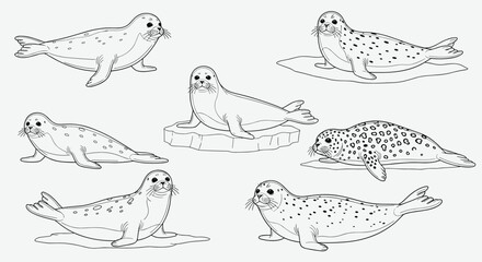 Obraz premium An illustration of several distinct seals in various resting positions on ice.