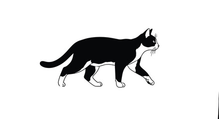 A black and white cat walks gracefully across a plain background.