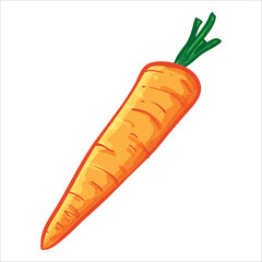 Carrot Hand Drawing Vector Illustration