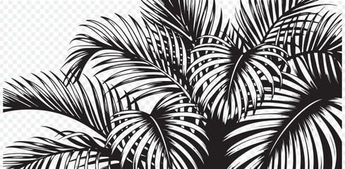 Monochrome Tropical Palm Leaves Design Element