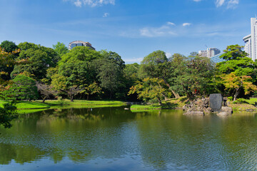 Koishikawa Korakuen in late Summer - A traditional Japanese garden