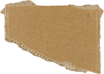 Brown Ripped Corrugated Cardboard Piece