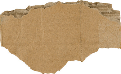 Brown Ripped Corrugated Cardboard Piece