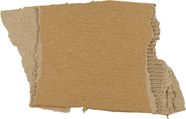 Brown Ripped Corrugated Cardboard Piece