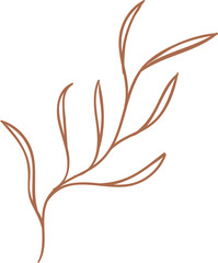 Fototapeta premium Delicate Brown Foliage Outline On Transparent Background Minimalist Nature Illustration