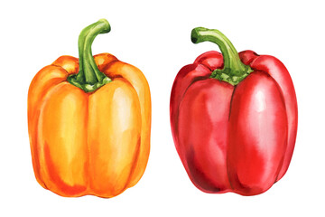 Red and orange bell peppers watercolor painting fresh vegetable kitchen wall art food illustration isolated on white background