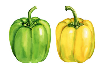 Green and yellow bell peppers watercolor painting fresh vegetables healthy organic food illustration kitchen art decor