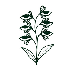 Non-AI Vector flower with eye. Stylized flower with eye isolated on white background.