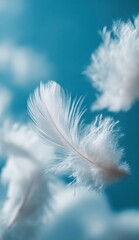 White feathers float gracefully against a tranquil blue sky creating a serene and artistic scene