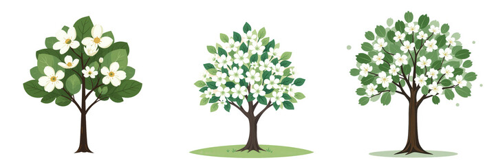 Three Beautiful Flowering Trees in Different Seasons and Styles