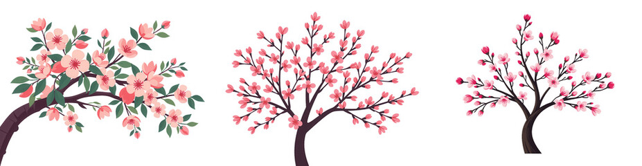 Beautiful Blossoming Cherry Trees in Various Styles and Sizes