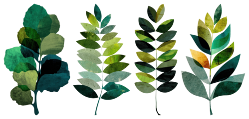 PNG Artistic green leaf collage, element set on transparent background
