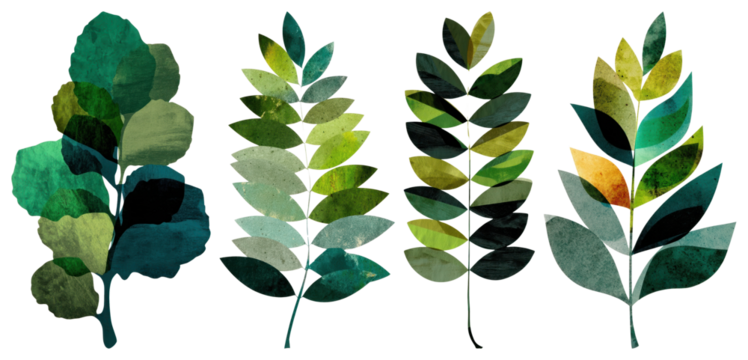 PNG Artistic green leaf collage, element set on transparent background