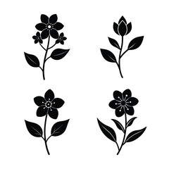 Jasmine flower icons collection for floral and botanical design