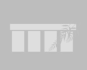 Shadow Effect with Palm Leaves, Realistic Tropical Sunlight Overlay