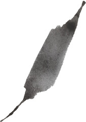 Abstract Monochrome Organic Shape on Transparent Background