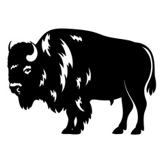 Obraz premium Silhouette of a Majestic American Bison Standing Tall and Proud on White