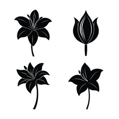 Lily Flower Icons Collection for Nature Garden and Decoration