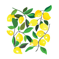 Lemons with leaves graphic background - vector design