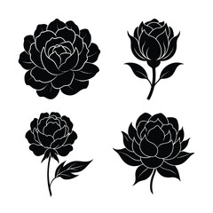 Peony Flower Icons Collection for Nature Garden and Decoration