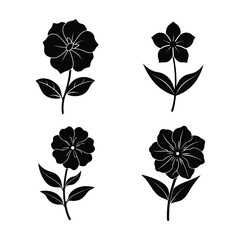 Periwinkle Flower Icons Collection for Nature Garden and Decoration