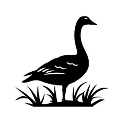 Elegant silhouette of a goose standing calmly in lush grass field