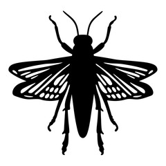 Graphic Silhouette of a Flying Insect with Detailed Wing Patterns and Antennae